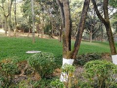 -天河儿童公园