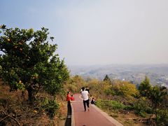 -五凤溪古镇