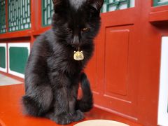 -莲池书院博物馆