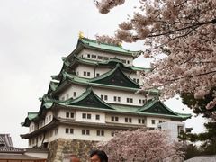 -名古屋城