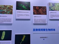 -中国杭州低碳科技馆