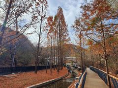 -白水寺森林公园