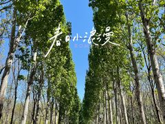 -将府公园