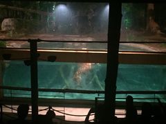 -清迈夜间动物园