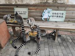 -常州淹城野生动物世界