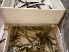 -江南福宴·澳门海鲜.牛肉火锅(汇高栢悦中心店)