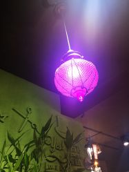 -柯琳造型