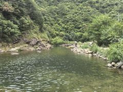 -芦茨金富饭庄·25年老字号·专做稻草鸡