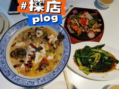 -至潮餐厅精致粤菜·活鲈鱼·走地鸡(珠江新城店)