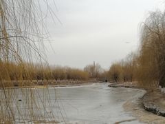 -东坝千亩湖公园