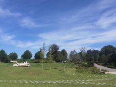 -上林马术中央公园·户外露营·团建·骑乘
