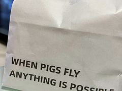 -WHEN PIGS FLY当猪飞