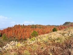 -山王坪喀斯特国家生态公园