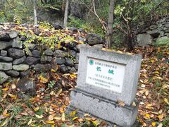 -云岫谷游猎自然风景区