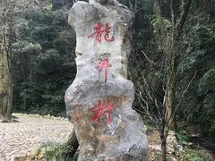 -阿巧茶庄