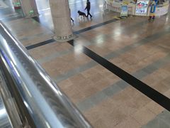 -清真西花市煎饼