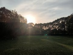 -同里国家湿地公园