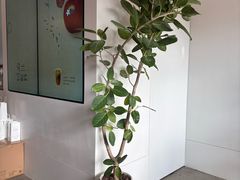 -喜茶(东莞厚街万达店)