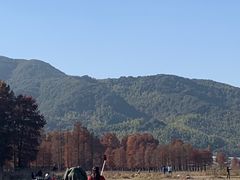 -四明湖