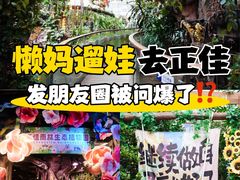 -正佳雨林生态植物园