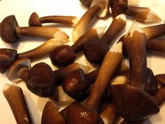 -千岛蚝高压锅生蚝·人参火锅(白云万达店)