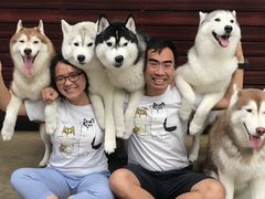 -TrueLove @ Neverland (Husky Cafe)