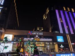 -紫荆广场·花漫里