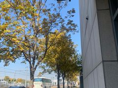 -肯德基(苏州北站店)
