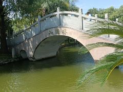 -金花茶公园