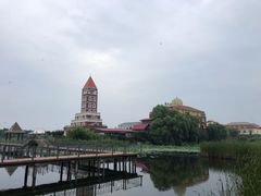 -日照海滨国家森林公园