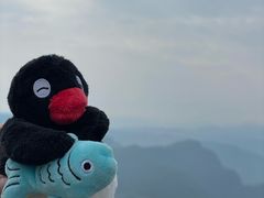 -剑门关风景区