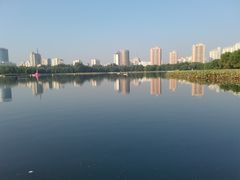 -莲花池公园