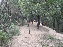 景点-襄阳烈士陵园(襄城区)