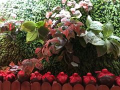 -窄巷子陕菜馆·地道陕西菜(粉巷店)