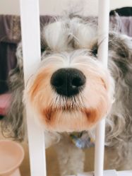 -Adore nail日式美甲美睫