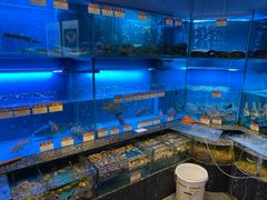 海鲜明档-协成海鲜火锅(海洋花园店)