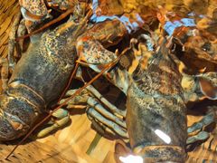 -拉完海鲜大排档(温岭店)