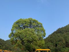 -木兰云雾山