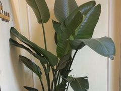 -鑫意棋牌会所(长寿路智慧广场店)