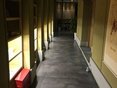 -御手国医·古法经络调理(光华店)