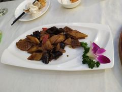-云中小雅