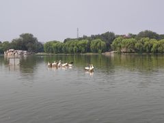 -达活泉公园
