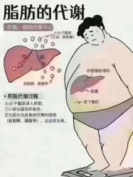 -丽减美瘦吧·减肥瘦身