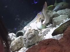 -邯郸海洋世界
