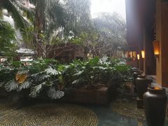 -三亚湾红树林度假世界(木棉酒店)
