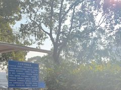 -上海市公安局交通警察总队车辆管理所三分所