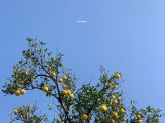 -同济大学(嘉定校区)