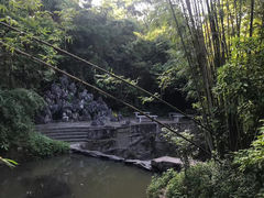 -大屏嶂森林公园