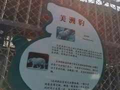 -哈尔滨北方森林动物园