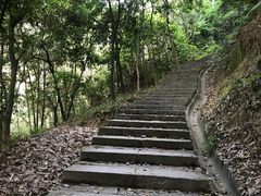 -火炉山森林公园